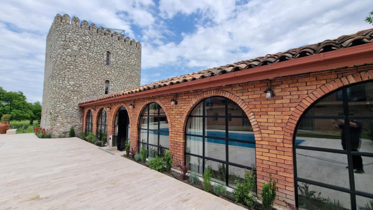 Giorgi Ushikishvilis Chateau-Marani Akhmeta Buitenkant foto