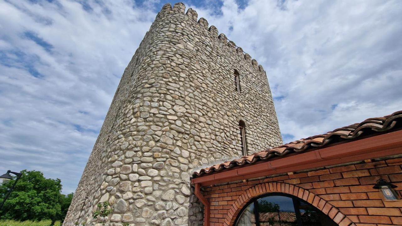 Giorgi Ushikishvilis Chateau-Marani Akhmeta Buitenkant foto
