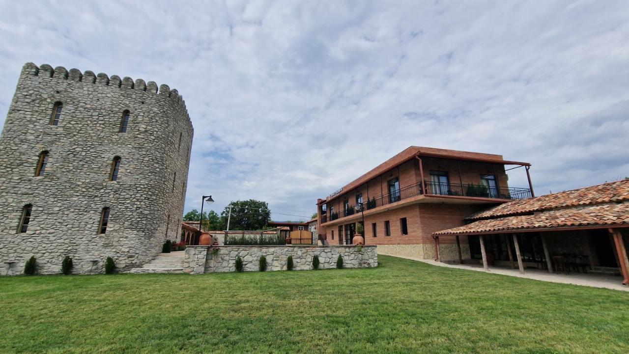 Giorgi Ushikishvilis Chateau-Marani Akhmeta Buitenkant foto