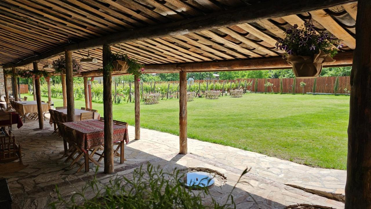 Giorgi Ushikishvilis Chateau-Marani Akhmeta Buitenkant foto
